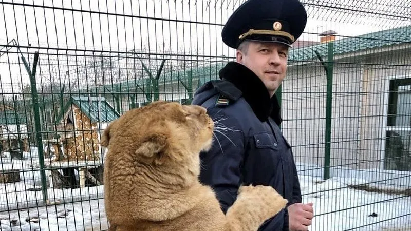 В Подмосковье поддержали закон о реабилитации диких животных