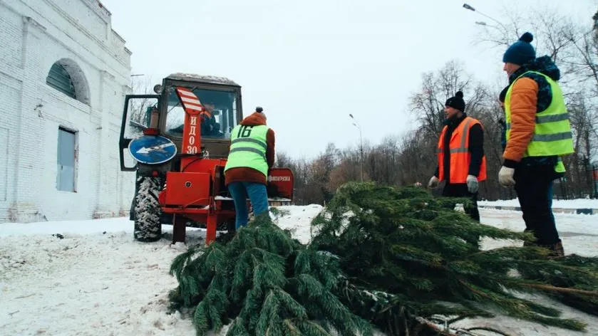 Семь пунктов для утилизации елей начнут работу в Красногорске 14 января