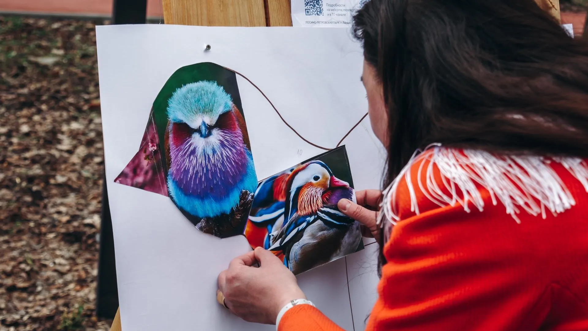 Парки Подмосковья проведут программу ко Дню птиц 1 апреля