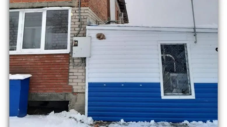Котельную на электрокотлах в деревне Бордуки в Шатуре перевели на работу на газе