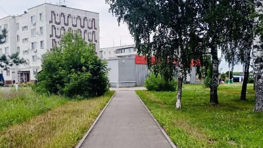 В Павлово-Посадском округе благоустроили три «народные тропы» длиной 235 м