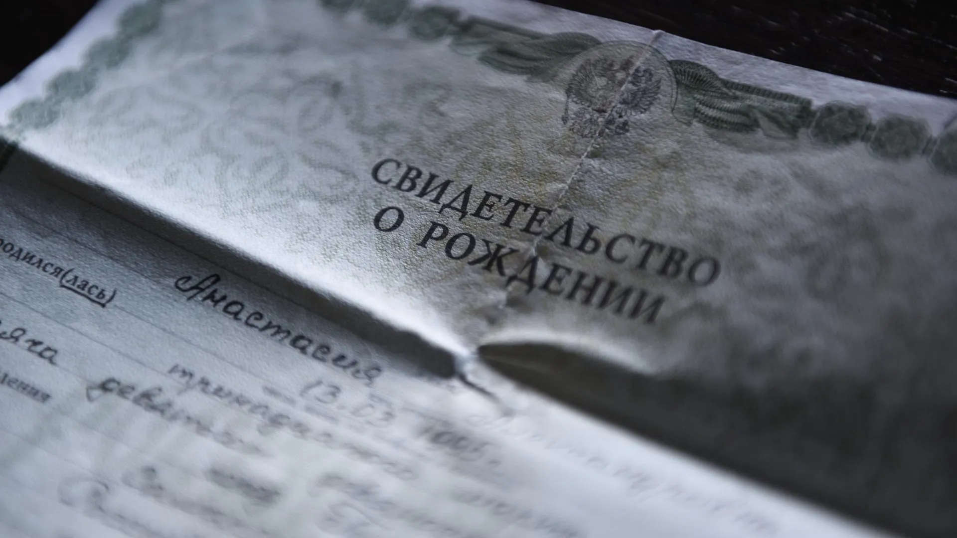 220 малышей зарегистрировано в отделе ЗАГС городского округа Мытищи в 2024 году