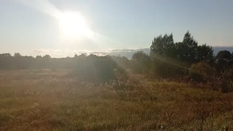 Самый бюджетный участок за неделю реализовали на торгах в Можайском округе