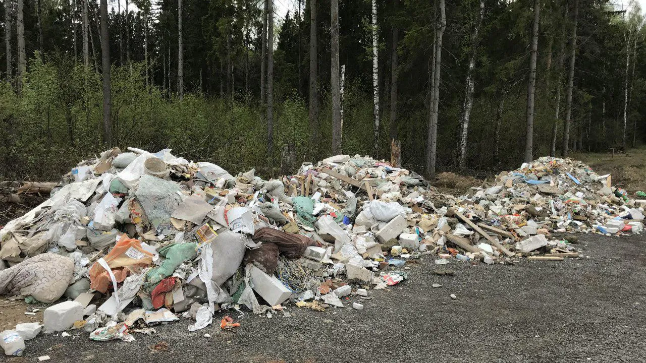 Свалки мусора ликвидировали в Наро‑Фоминском и Раменском округах