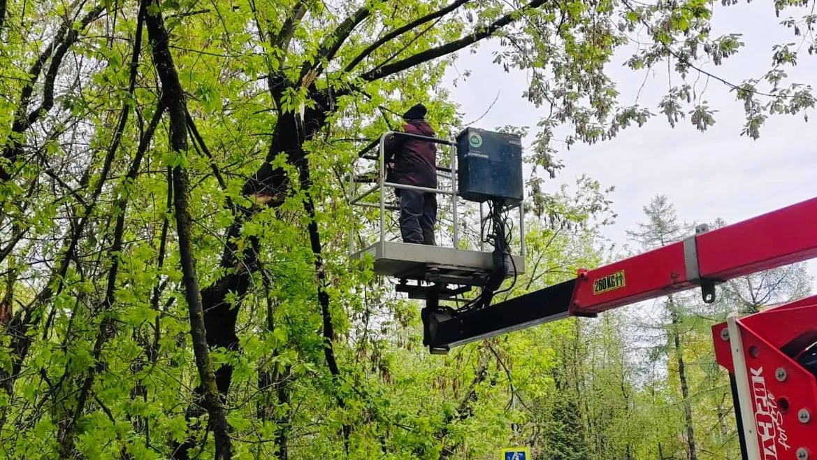 В Луневском, Кутузовском и Сходне-Фирсановке полностью восстановлена подача электроэнергии