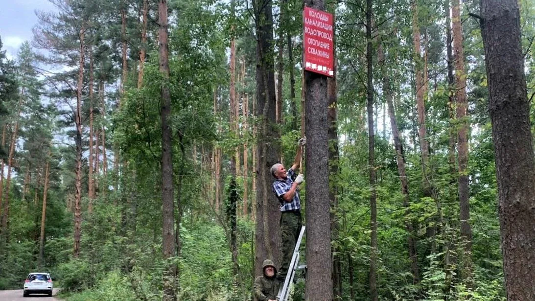 Около 5 тыс рекламных конструкций демонтировали с деревьев в Подмосковье