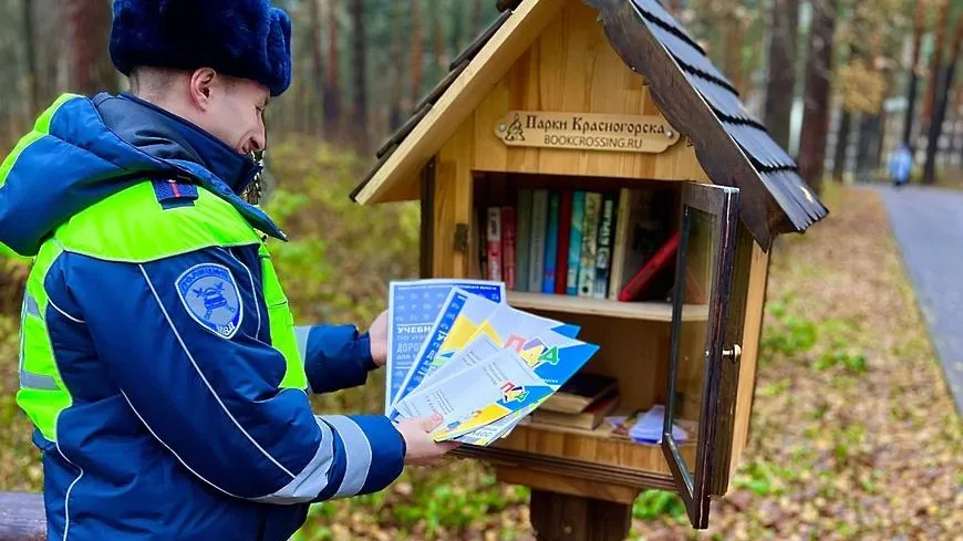 Библиотеку в парке Красногорска пополнили изданиями по безопасности дорожного движения