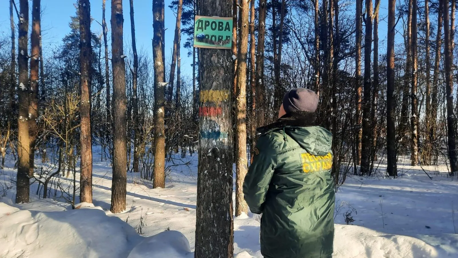 В лесах Павловского Посада проходят рейды по ликвидации незаконной рекламы