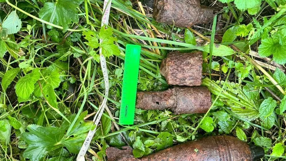 Взрывотехники в Можайском округе ликвидировали 4 боеприпаса времен ВОВ