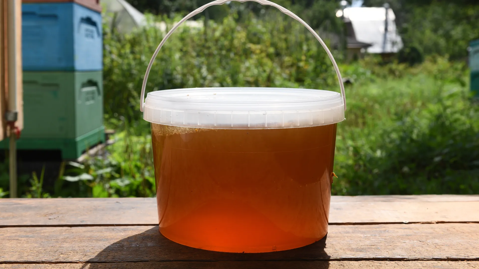 От меда до мяса: в каких продуктах могут быть антибиотики