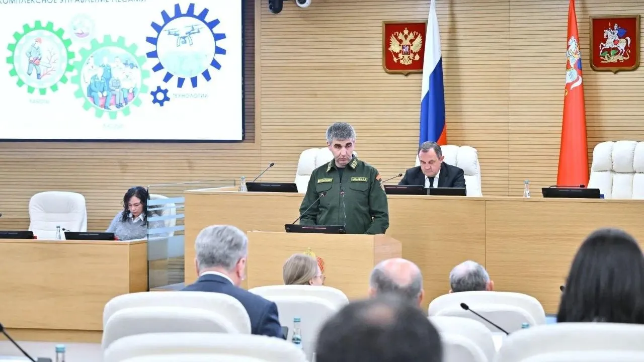 В Подмосковье представили новую модель управления лесами