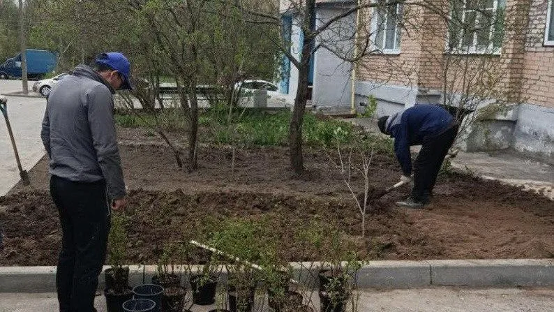 Жительница Красноармейска поблагодарила инспекторов ГУСТ за озеленение дворовой территории