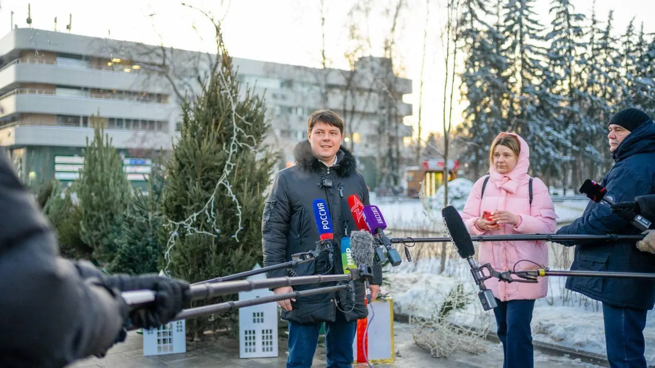 Жителям Подмосковья рассказали о программе открытия елочного базара в Королеве