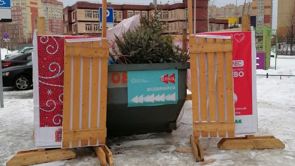 Свыше 70 куб м елей передали на переработку жители Воскресенского и Алексинского кластеров