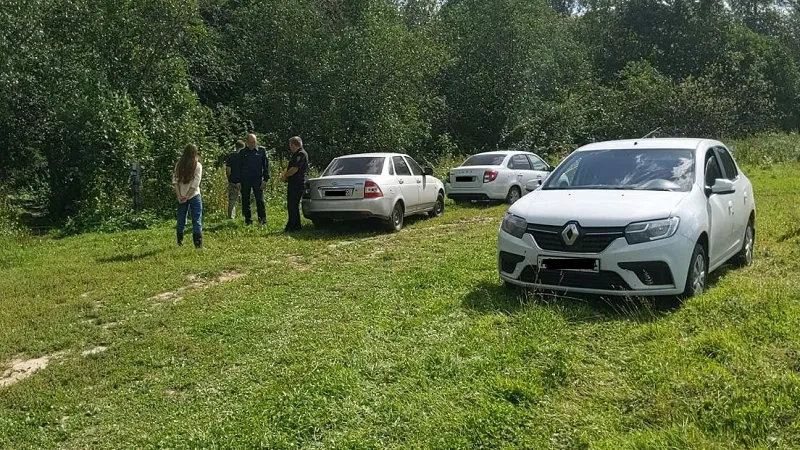 В четырех округах Подмосковья выявили нарушения природоохранного законодательства