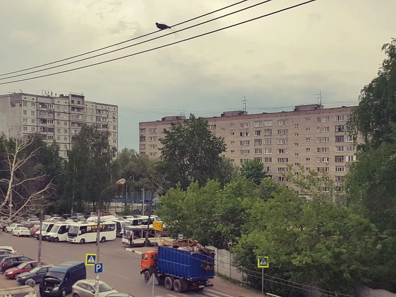 фото из личного архива