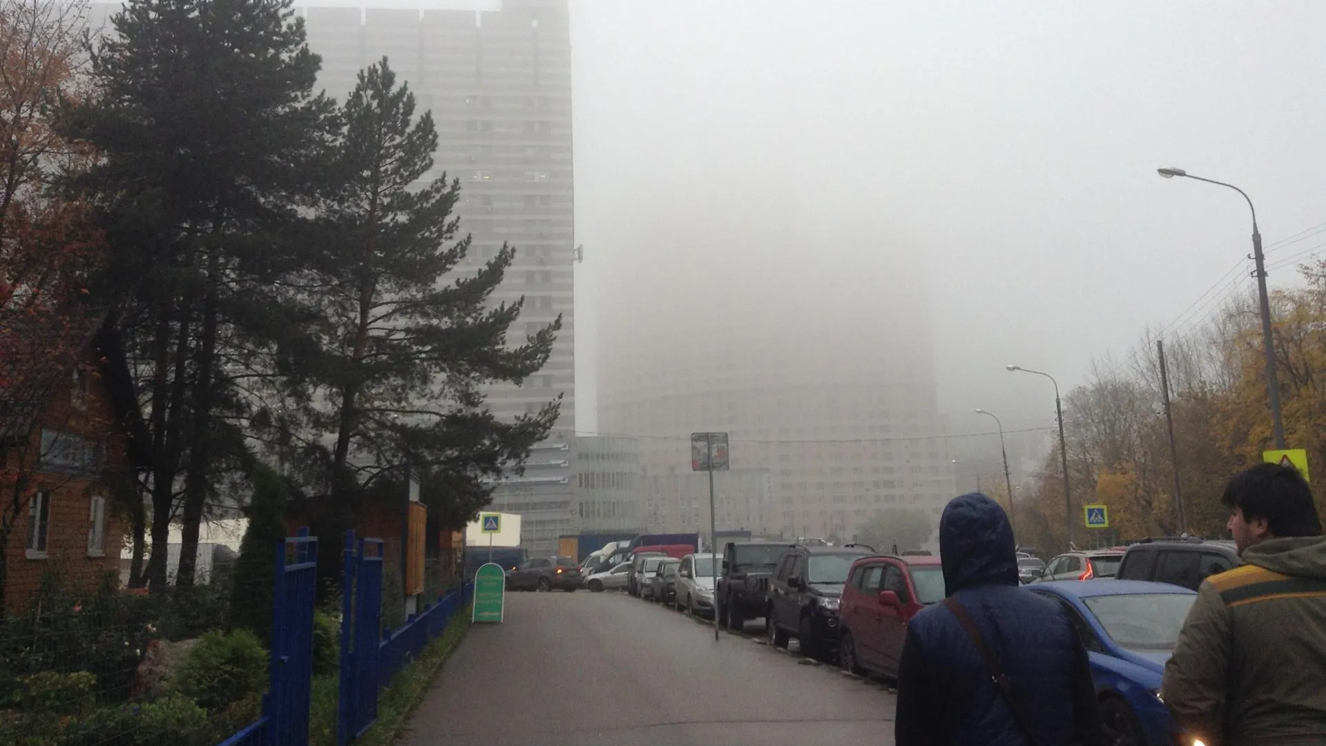 Туман ограничит видимость в Подмосковье утром в пятницу