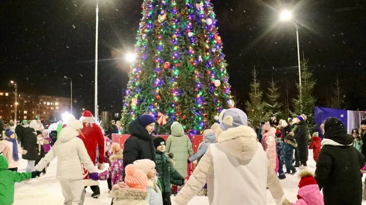 Огни зажгли на новогодней ели в подмосковном поселке Усады