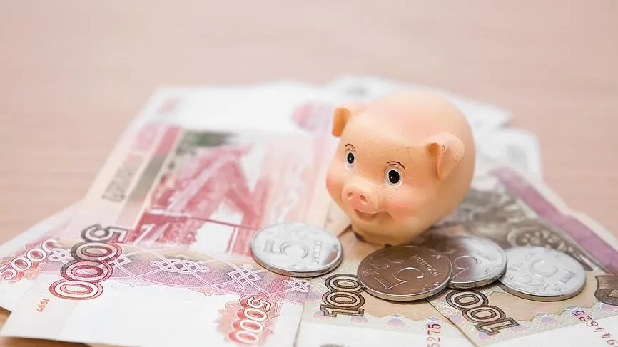 Экономист Хижняк: экономия — это системная работа над собой
