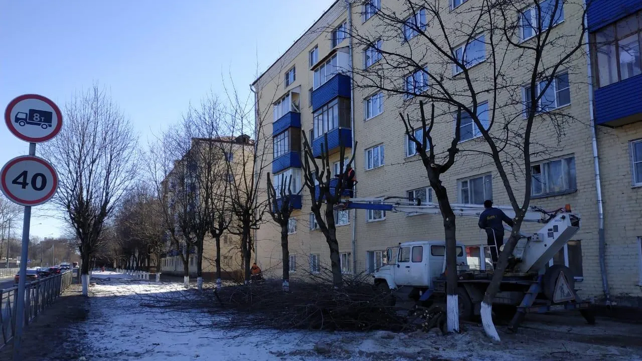 В микрорайоне Подольска подрядчик приступил к спилу аварийных деревьев на улице Заводская