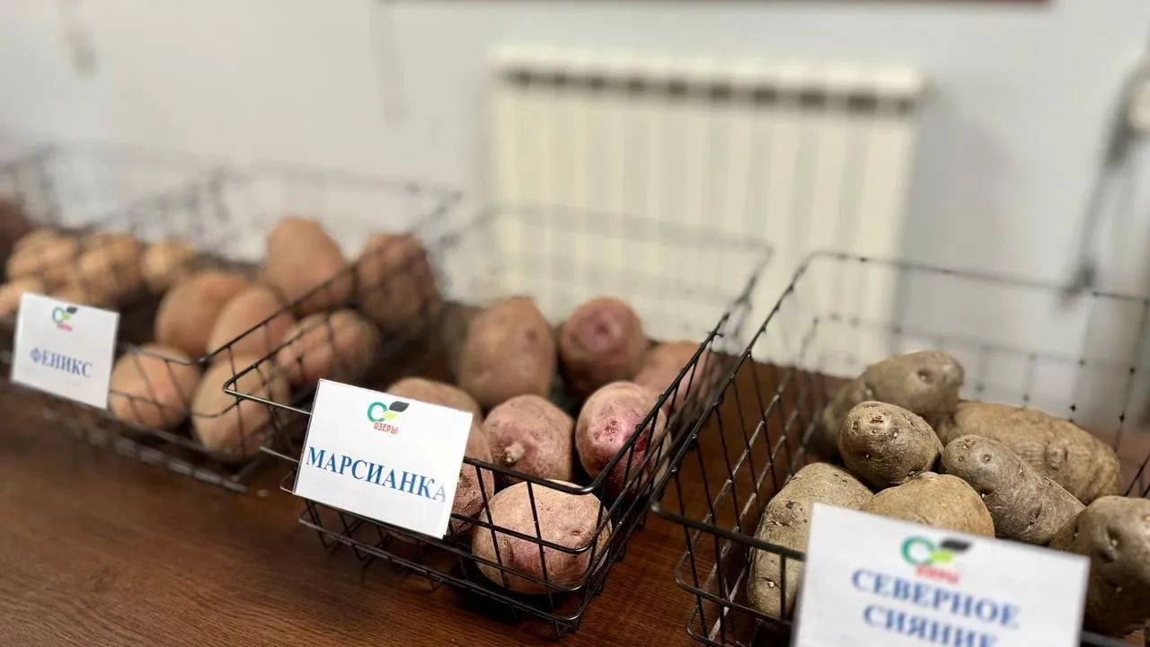 Сергей Двойных посетил крупное сельхоз предприятие в Подмосковье