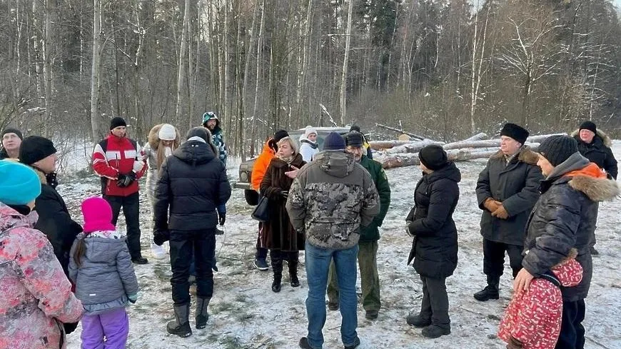Жители Балашихи пожаловались на вырубку деревьев в Кучинском лесопарке