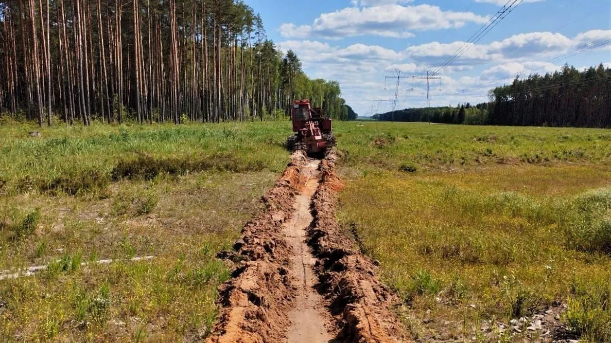Более 130% от календарного плана выполнено по прочистке минполос в лесах Подмосковья