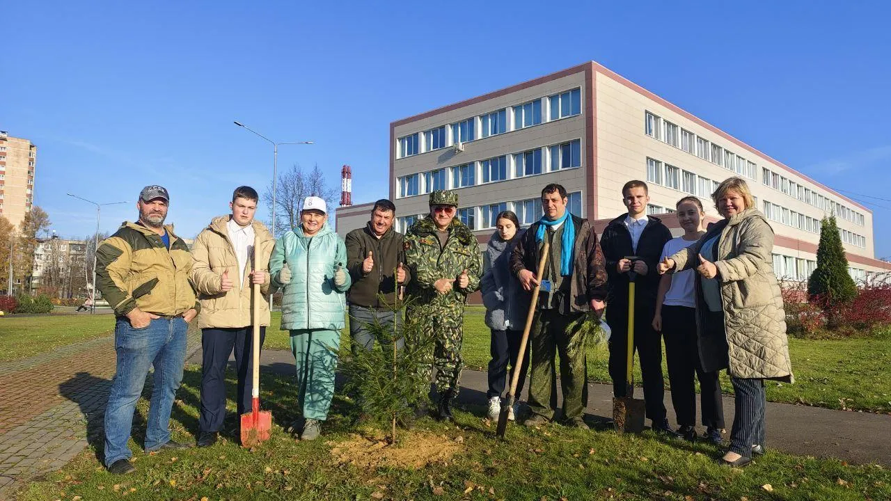 В День народного единства в Домодедове высадили еловую аллею