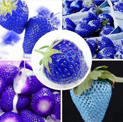 сайт aliexpress.com