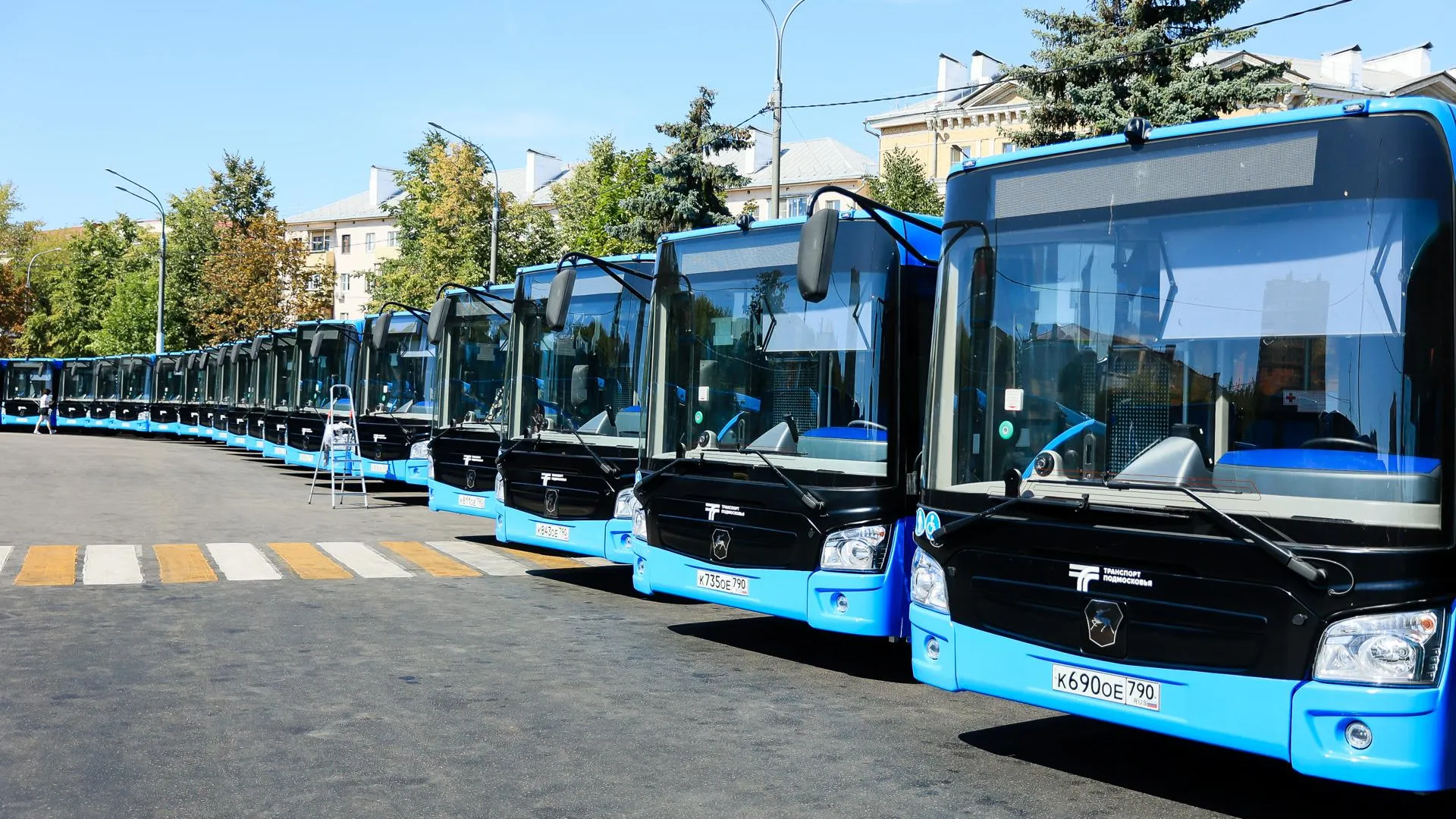 В Подмосковье определили самые популярные маршруты автобусов по итогам лета