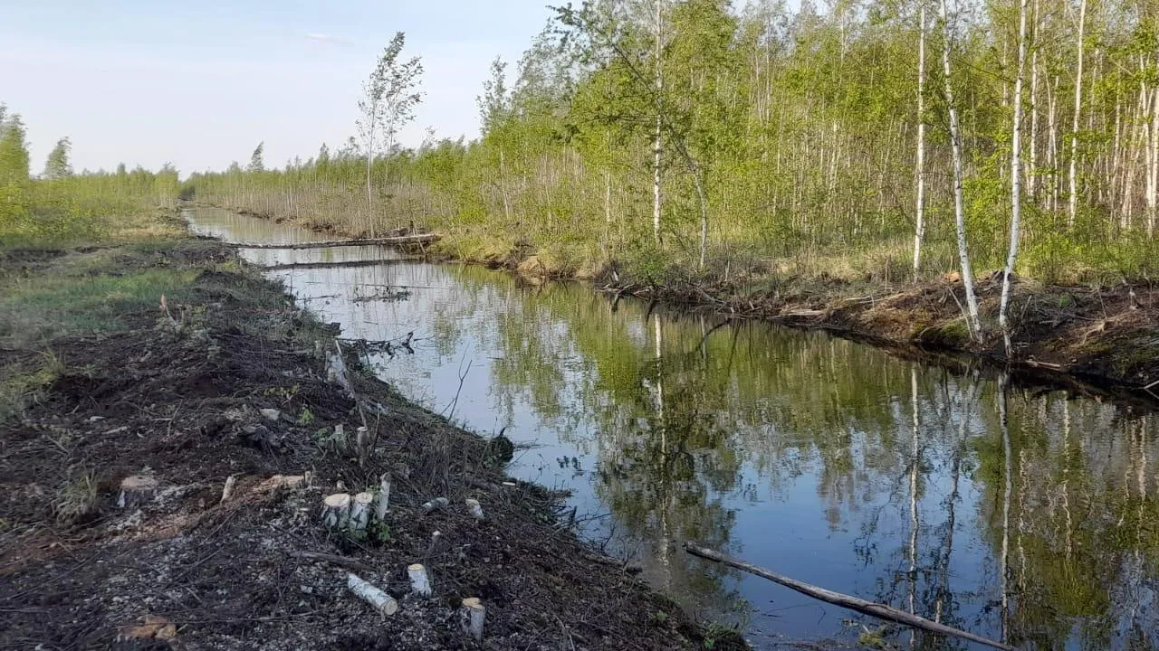 В Подмосковье провели работу по обслуживанию системы обводнения торфяников