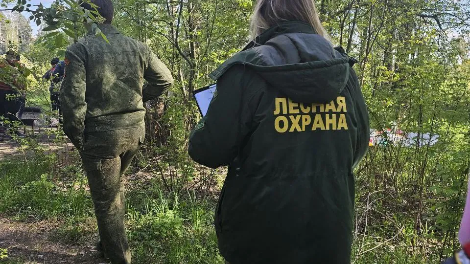 Более 1,2 млн рублей штрафов выписано за нарушения в лесах Подмосковья за неделю