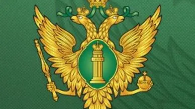 Подмосковное управление Минюста РФ рассказало о предоставлении ежегодной отчетности НКО