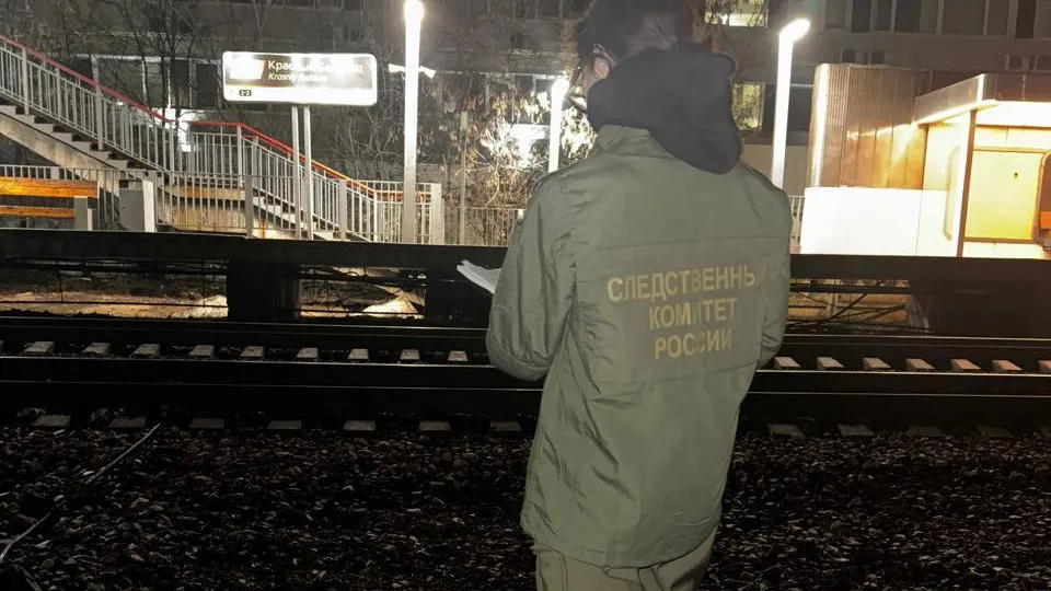 Висевший на электричке подросток погиб от удара током в Москве