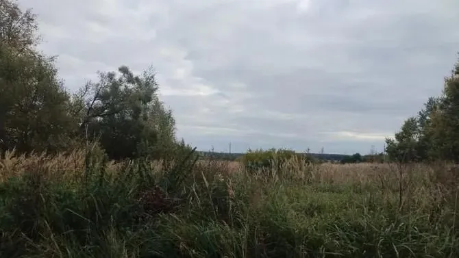 В Можайском округе Подмосковья реализован самый дешевый участок на торгах