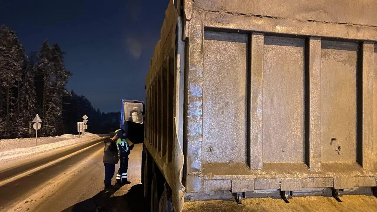 Эко‑рейды прошли в округе Щелково