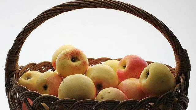 Праздничная программа в честь Яблочного спаса пройдет в Красногорске 23 августа