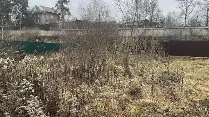 В Истре на торгах зафиксирована рекордная цена за участок для ИЖС