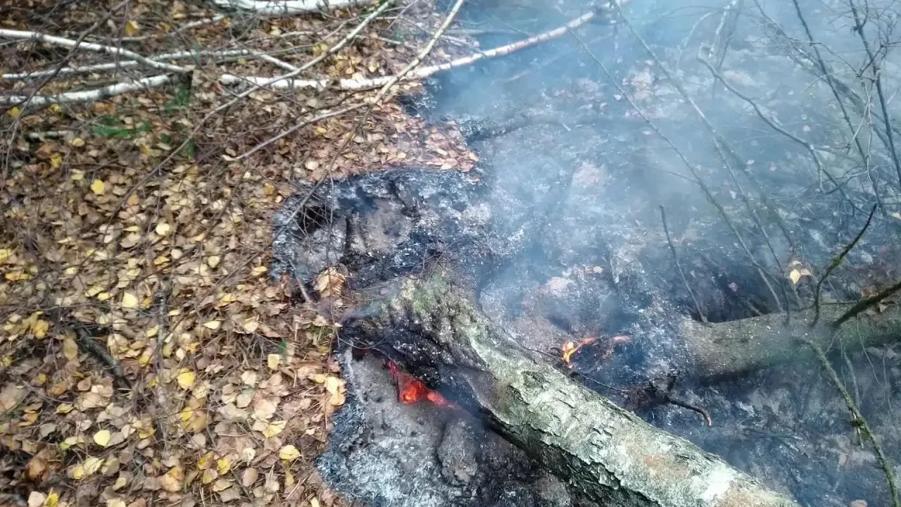 В Раменском потушили торфяной пожар вблизи Кратова