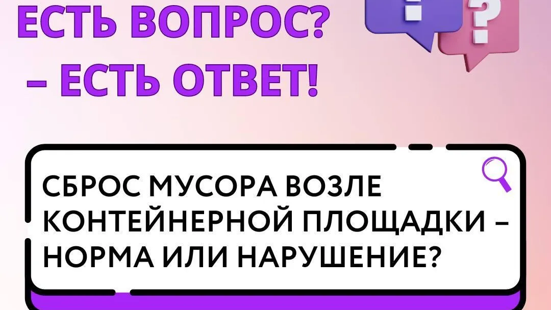 Сброс мусора возле контейнерной площадки в Подмосковье является нарушением