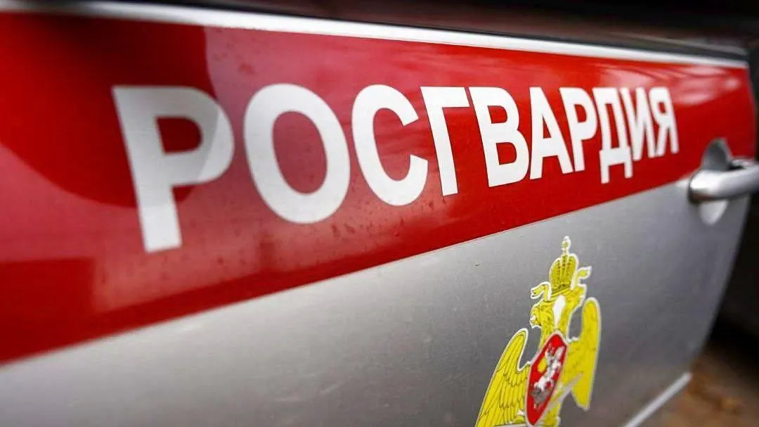 Росгвардейцы Подмосковья пресекли грабеж в одном из магазинов