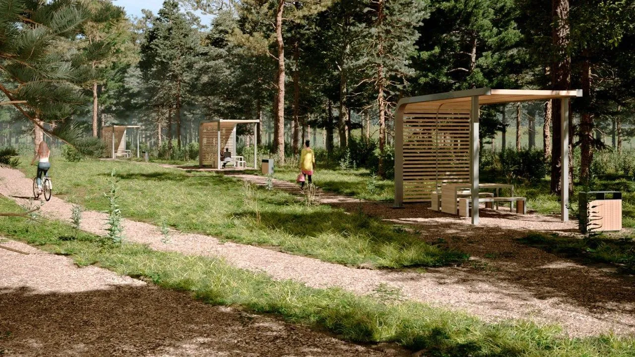 Лесопарк «Дубки» откроется в Наро‑Фоминском городском округе в 2024 году