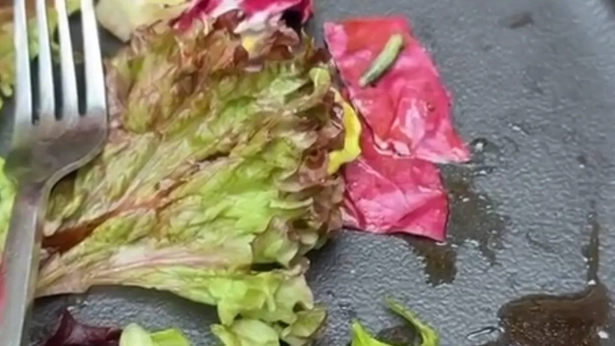 «Сразу видно, все свежее»: салат с гусеницей подали в известном ресторане Москвы