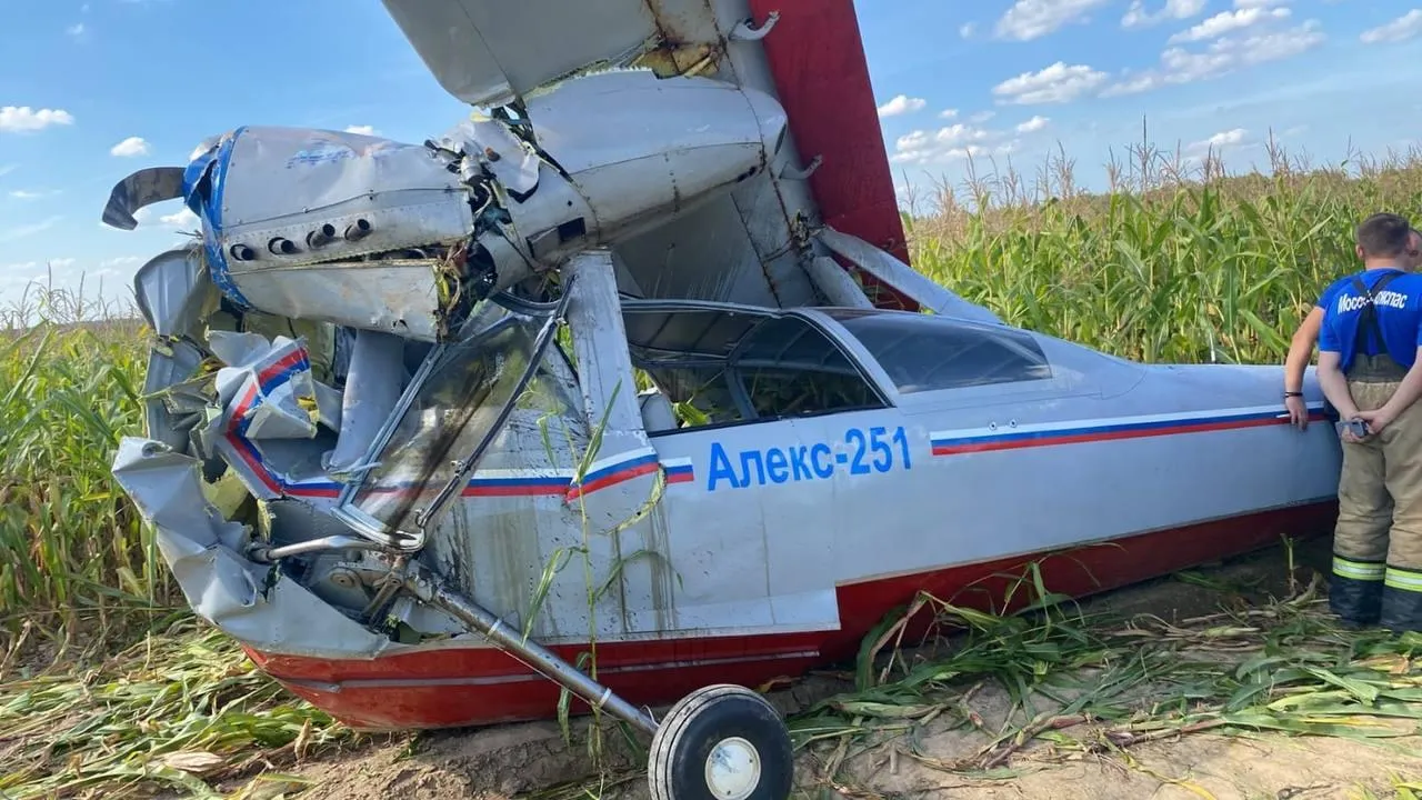 Опубликованы кадры с места крушения самолета Ан-2 в Подмосковье