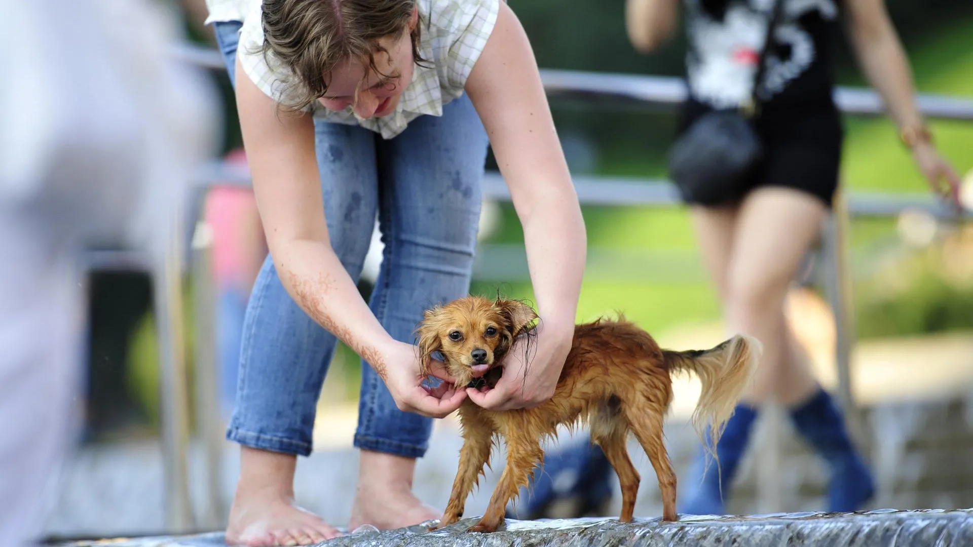 До 27 градусов тепла и дождь ожидается в Московском регионе во вторник