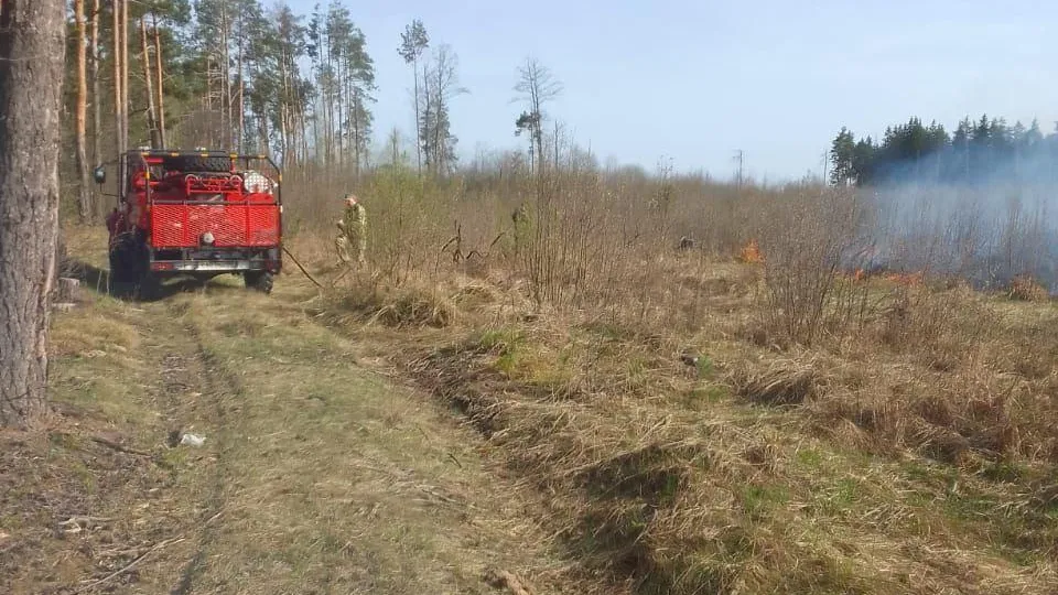В Подмосковье ликвидировано 2 лесных пожара за выходные