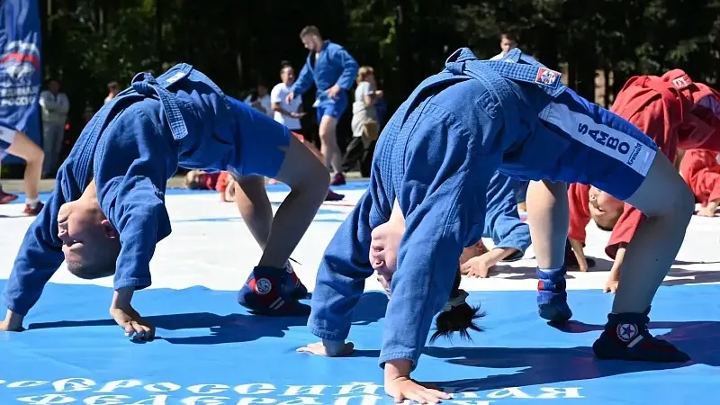 В Воскресенске прошло спортивное мероприятие «Za Самбо»
