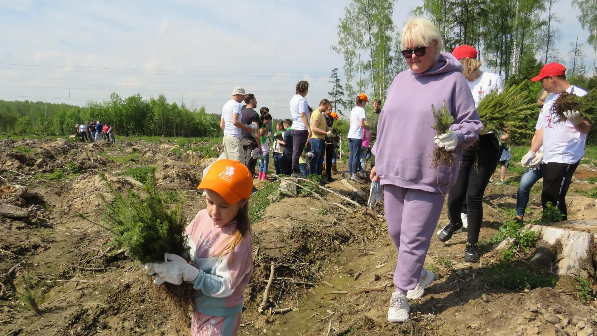 19 тыс саженцев ели высадили в Мытищах на акции «Лес Победы»