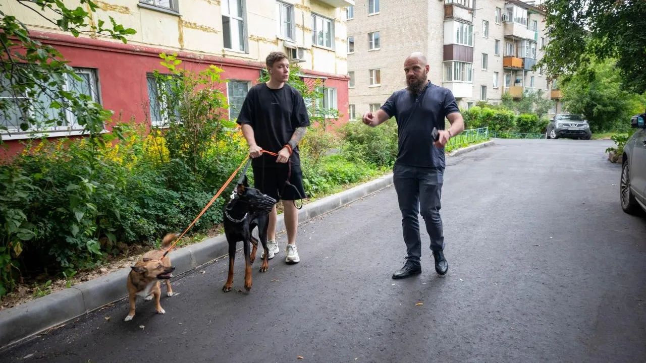 Во Фрязине реализуется проект по комплексному благоустройству дворовых территорий