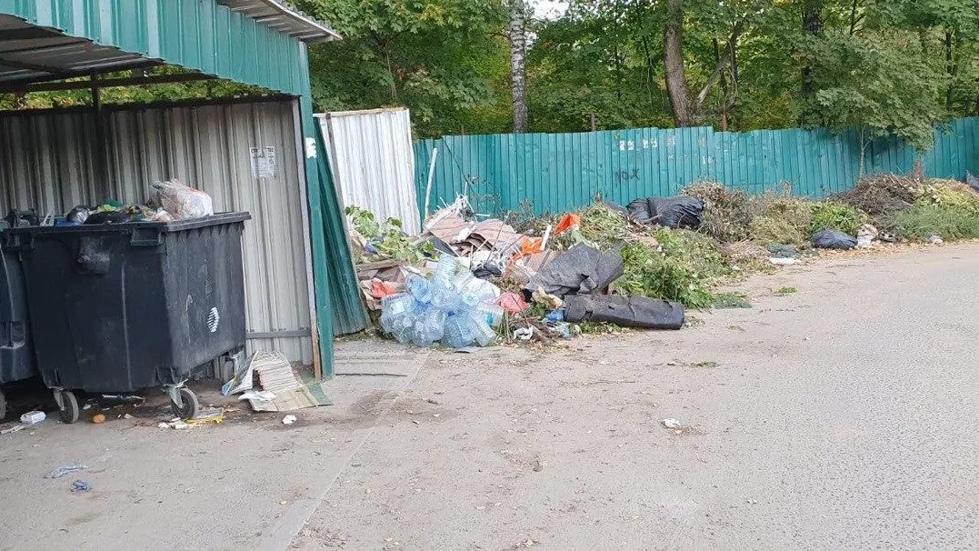 Пушкинское городское хозяйство оказывает помощь по вывозу мусора с контейнерных площадок